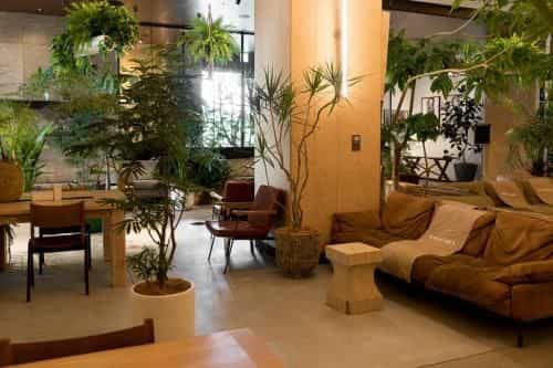 TRUNK (HOTEL)