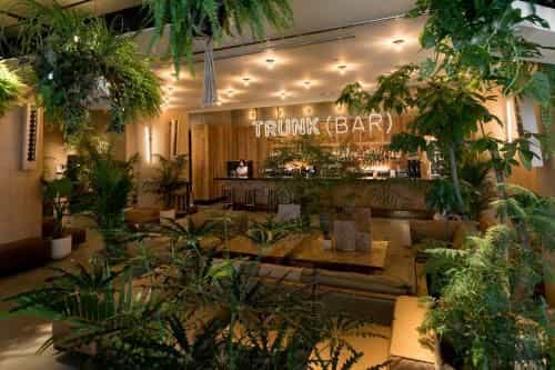 TRUNK (HOTEL)
