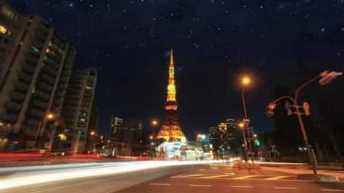 Floral · Iron Tower Hotel Tokyo