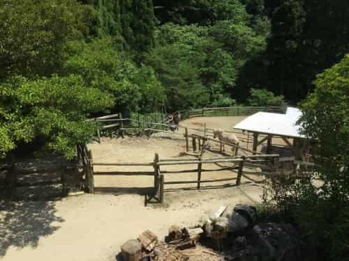 Dosanko Mira Farm (Farm Stay) Dosanko Mira Farm (Farm Stay)