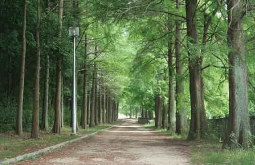 Park side Villa Izumi Komoike
