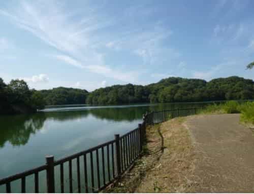 Park side Villa Izumi Komoike