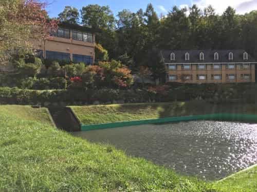 Sakuraresort