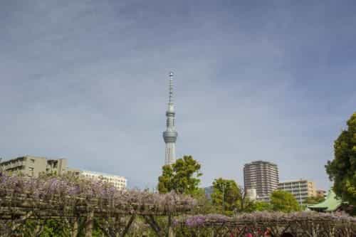 LOFT HOTEL TOKYO #Kameido