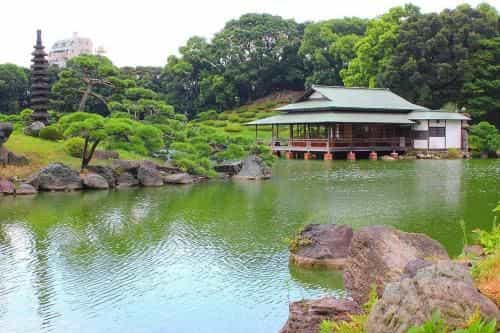 Three Tokyo 101