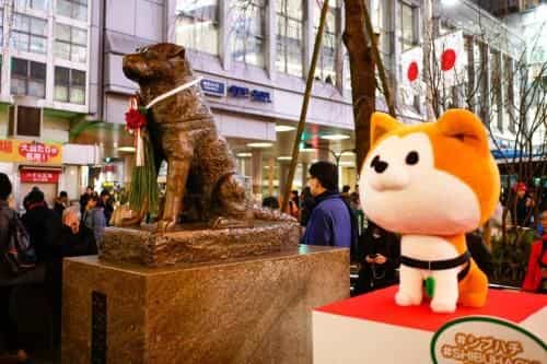 アンドステイ幡ヶ谷2丁目