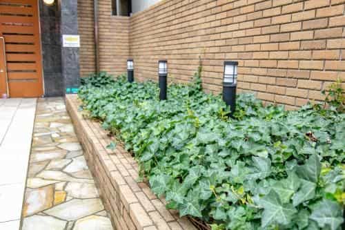 Hotel Yuki Nipponbashi Hotel Yuki Nipponbashi