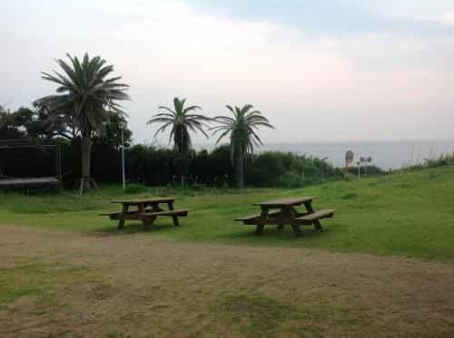 Marine Plaza Y's Dream