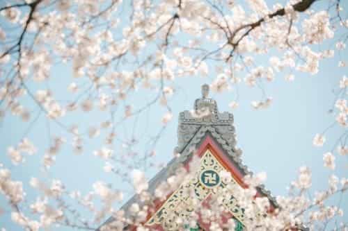 Ostay Nippori Hotel Apartment (Nishi-Nippori Sta.)