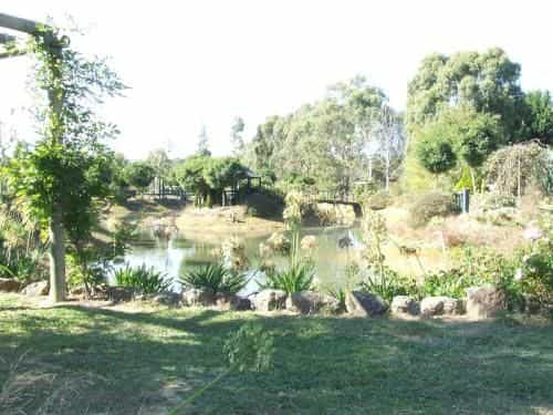 Still Waters