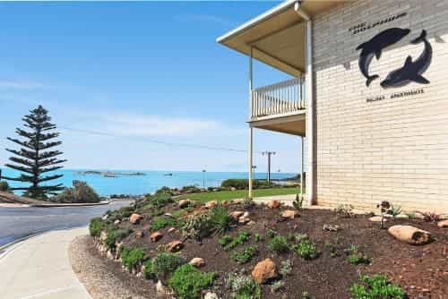 The Dolphins Beachfront Apartments