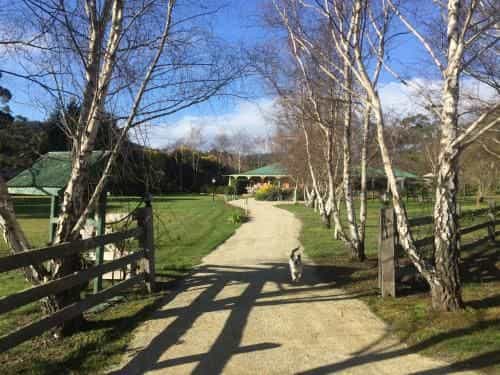 Green Gables B&B