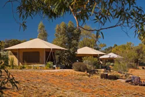 Squeakywindmill Boutique Tent B&B