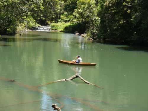 Figtree Getaway