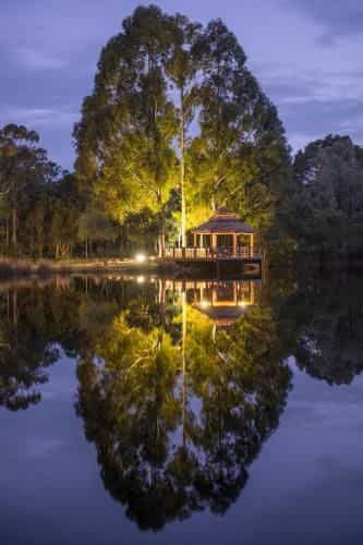 Forest Rise Chalets and Lodge