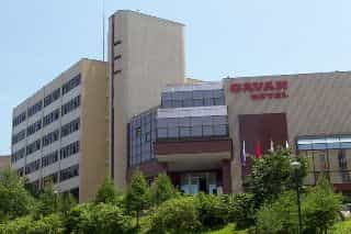 Gavan