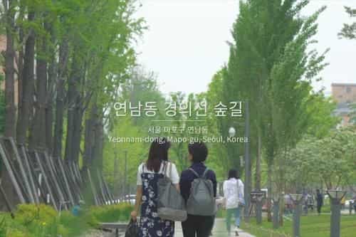 Hongdae Rooftop Garden