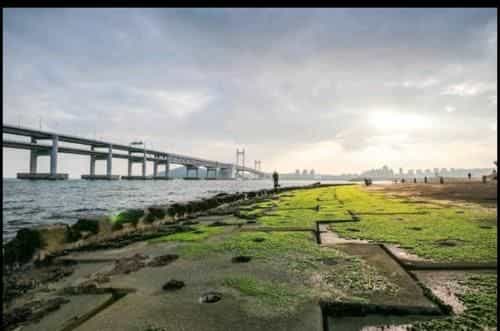 Gwangan bridge Ocean &City View Cozy House