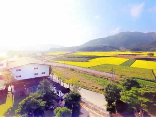 Seongbochon Youth Hostel