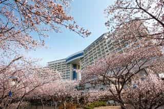 Daemyung Resort Gyeongju