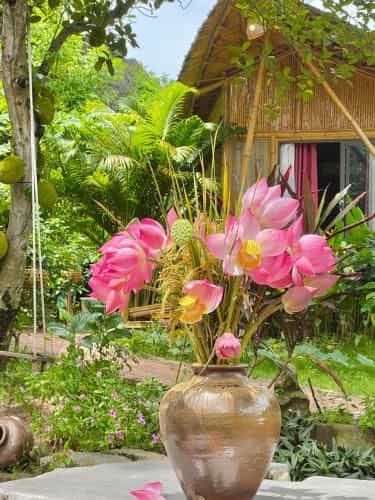 Trang An Lamia Bungalow Trang An Lamia Bungalow