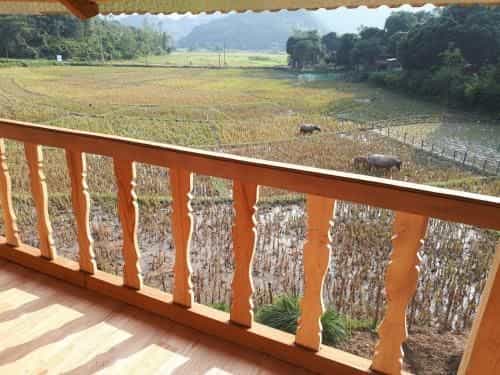 Meadow Mai Chau Homestay