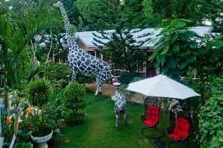 Deep Forest Garden Hotel Deep Forest Garden Hotel