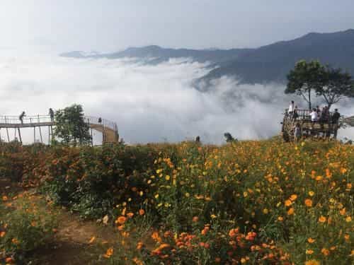 Your home Mai Chau