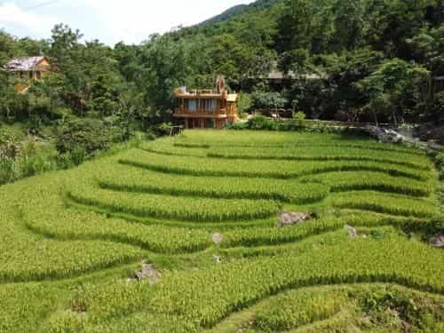 Pu Luong Jungle Lodge