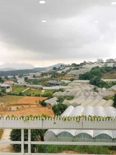 Thung Lung Mo - Dream Valley
