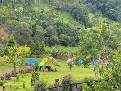 Dhalia Stream View Cottage