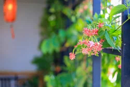 KoiKing Homestay Quy Nhon KoiKing Homestay Quy Nhon