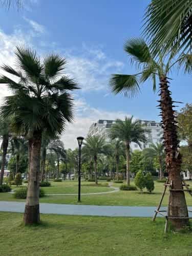 Chuoi can ho Merci Apartment & Homestay - Vinhomes Imperia Hai Phong