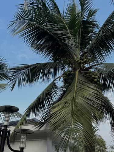 Chuoi can ho Merci Apartment & Homestay - Vinhomes Imperia Hai Phong