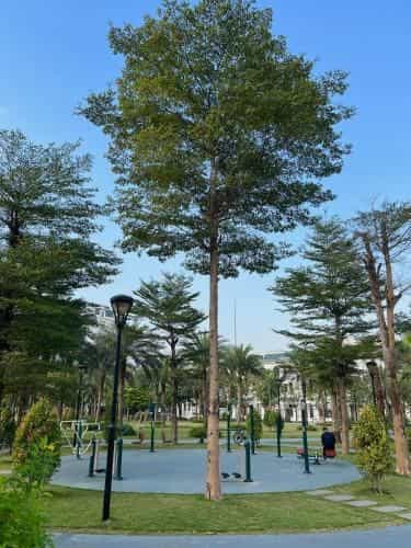 Chuoi can ho Merci Apartment & Homestay - Vinhomes Imperia Hai Phong