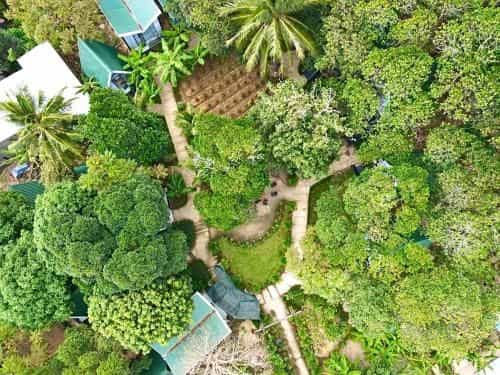 Homestay De la Rosa - Côn Đảo