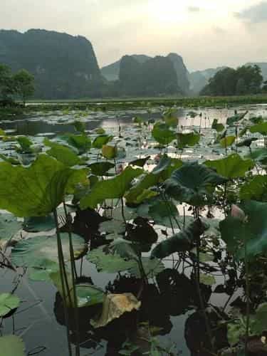 Serena riverside homestay - Trang An Serena riverside homestay - Trang An