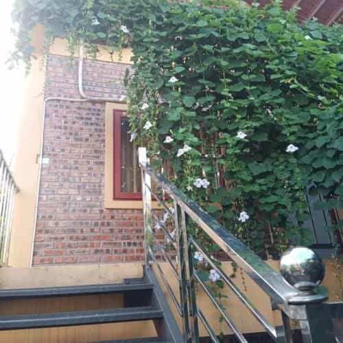 Green Space Homestay Green Space Homestay