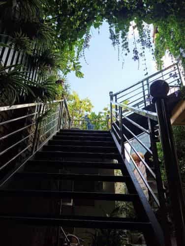 Green Space Homestay Green Space Homestay