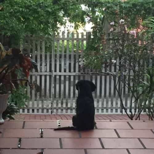 Vannie Homestay Vannie Homestay