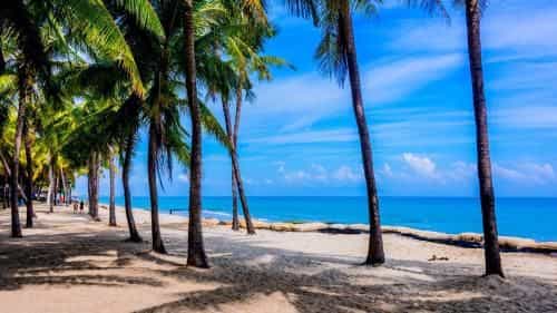 Cocohut Hoian Homestay Cocohut Hoian Homestay