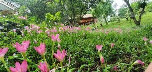 Pài Bjooc homestay Pài Bjooc homestay