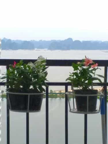Ha Long Bay View Studio Ha Long Bay View Studio
