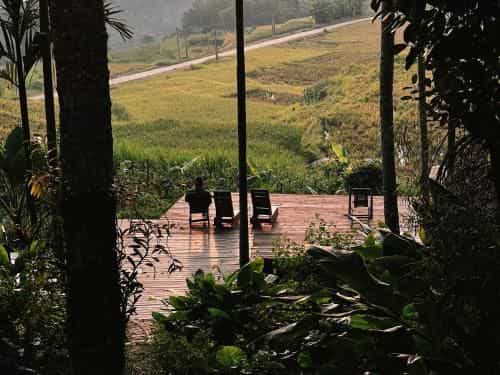 Lua Pu Luong