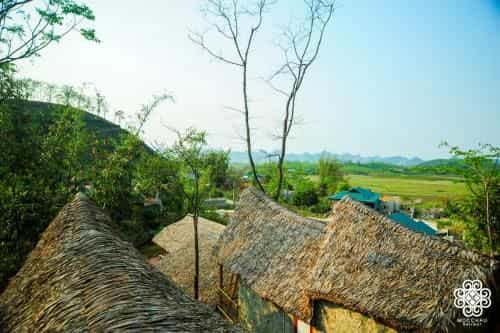 Moc Chau Retreat