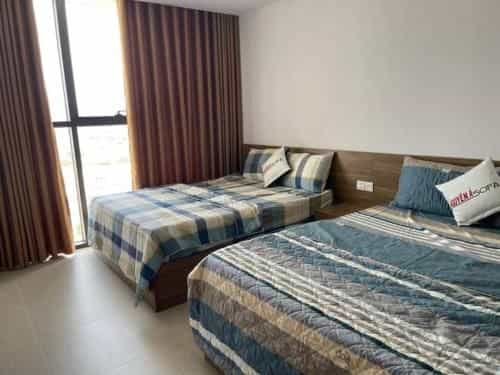 Homestay Sunflower Homestay Sunflower