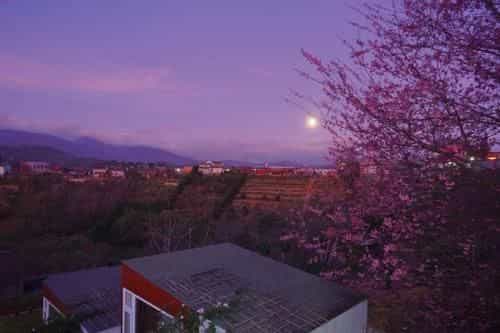 KT Homestay & Coffee