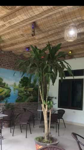 Tam Coc Scenery Homestay Tam Coc Scenery Homestay