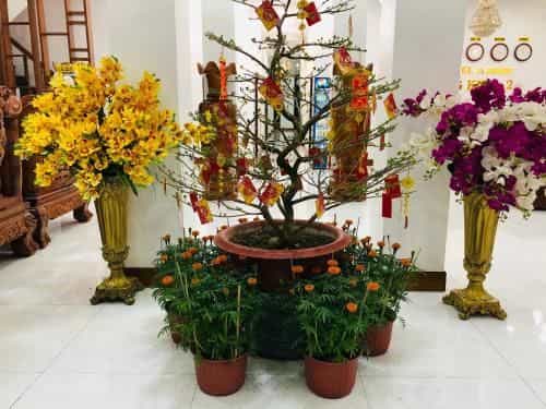HOTEL DANG KHOA 1 NUI SAM HOTEL DANG KHOA 1 NUI SAM