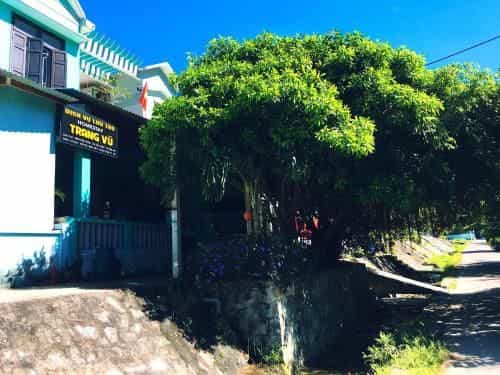 Trang Vu Homestay Cu Lao Cham Trang Vu Homestay Cu Lao Cham